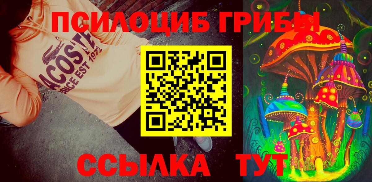 Псилоцибиновые грибы Magic Shrooms  Псилоцибиновые грибы прущие грибы  Вход с VPN  Нефтекумск 